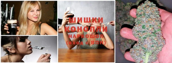 прущие грибы Лихославль