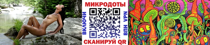 кракен ТОР  купить наркоту  Моздок  Галлюциногенные грибы мухоморы 