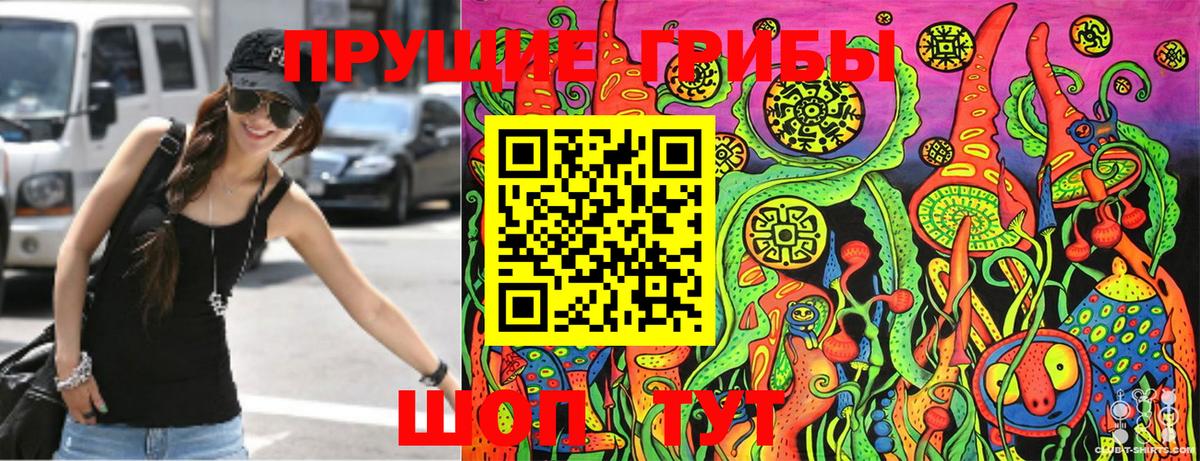 Псилоцибиновые грибы Psilocybe  Псилоцибиновые грибы мицелий  Моздок  Вход с VPN 