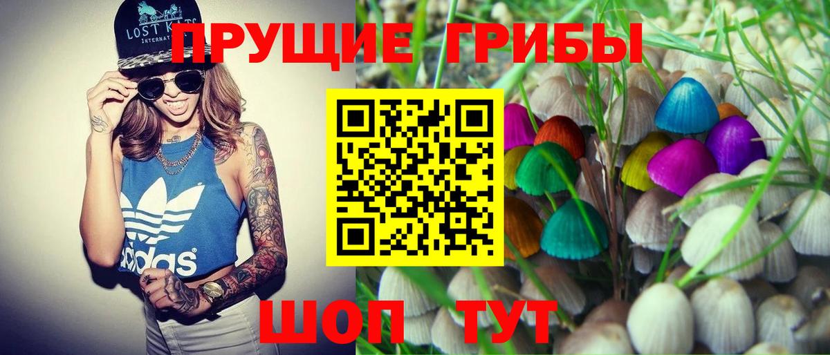 Галлюциногенные грибы Magic Shrooms Моздок